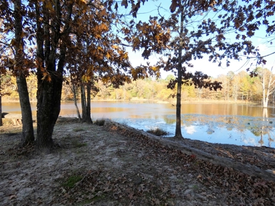 77 East Texas Acres + 3/2 Home + Ponds + Lake - Winnsboro - image 11
