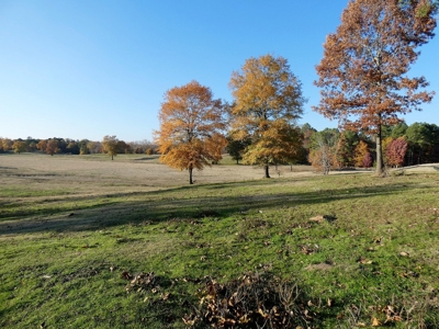 77 East Texas Acres + 3/2 Home + Ponds + Lake - Winnsboro - image 22