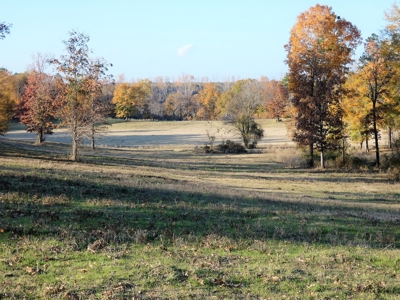 77 East Texas Acres + 3/2 Home + Ponds + Lake - Winnsboro - image 32