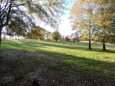 77 East Texas Acres + 3/2 Home + Ponds + Lake - Winnsboro - image 26