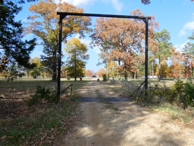 77 East Texas Acres + 3/2 Home + Ponds + Lake - Winnsboro - image 6