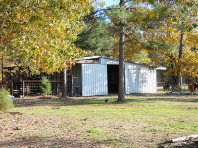 77 East Texas Acres + 3/2 Home + Ponds + Lake - Winnsboro - image 10