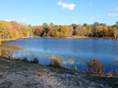 77 East Texas Acres + 3/2 Home + Ponds + Lake - Winnsboro - image 19
