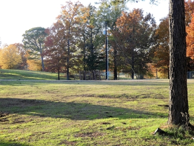 77 East Texas Acres + 3/2 Home + Ponds + Lake - Winnsboro - image 35