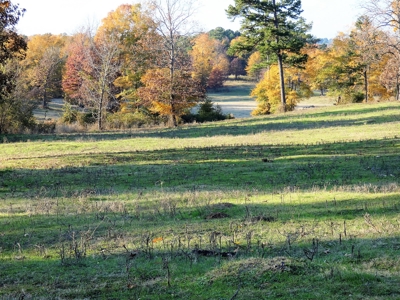 77 East Texas Acres + 3/2 Home + Ponds + Lake - Winnsboro - image 30