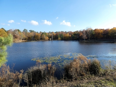 77 East Texas Acres + 3/2 Home + Ponds + Lake - Winnsboro - image 20