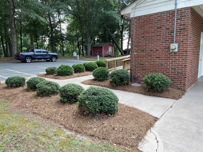Commercial Property for Sale, Greenville North Carolina - image 20