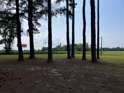 Commercial Property for Sale, Greenville North Carolina - image 19