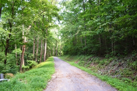 Wooded Mountain Land For Sale In Bland County VA - image 13