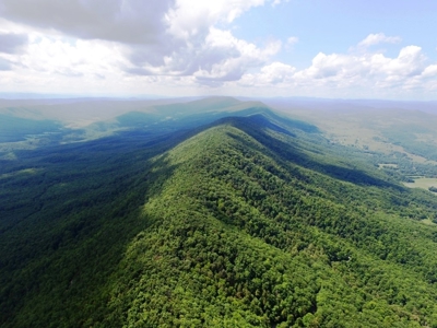 Wooded Mountain Land For Sale In Bland County VA - image 15