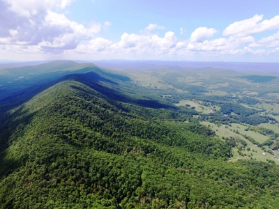 Wooded Mountain Land For Sale In Bland County VA - image 19