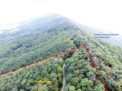 Wooded Mountain Land For Sale In Bland County VA - image 16