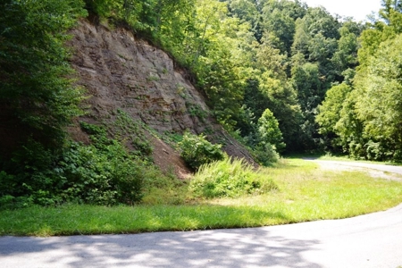 Wooded Mountain Land For Sale In Bland County VA - image 14