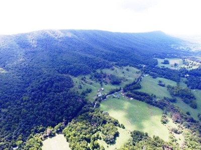 Wooded Mountain Land For Sale In Bland County VA - image 20