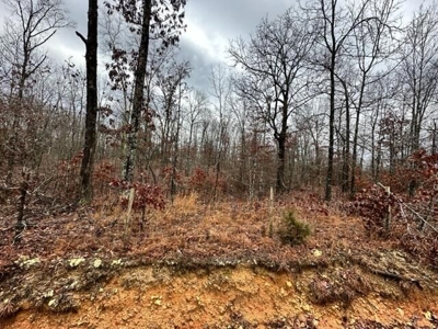 Vacant land for sale in the Ozark hills - image 7