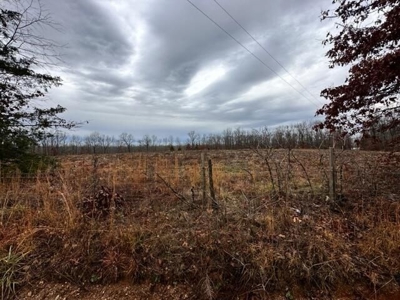 Vacant land for sale in the Ozark hills - image 5