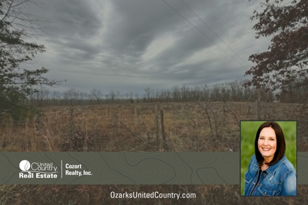 Vacant land for sale in the Ozark hills - image 9