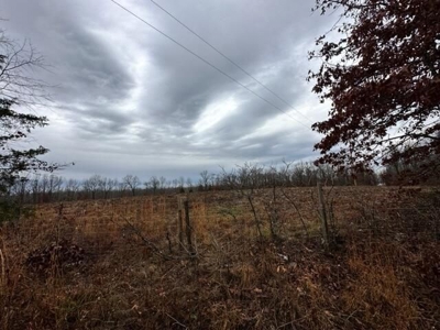 Vacant land for sale in the Ozark hills - image 6