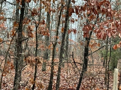 Vacant land for sale in the Ozark hills - image 3