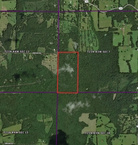 Vacant land for sale in the Ozark hills - image 10