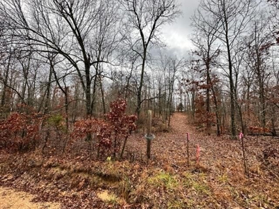 Vacant land for sale in the Ozark hills - image 8