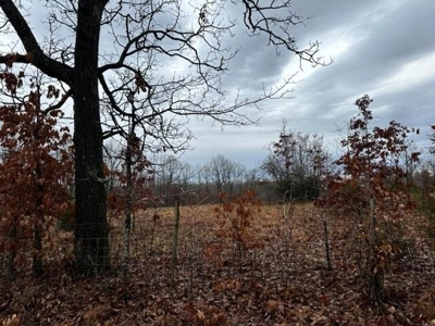 Vacant land for sale in the Ozark hills - image 4