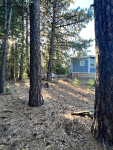 Homesite with Well & Septic For Sale in Modoc Co. - image 11