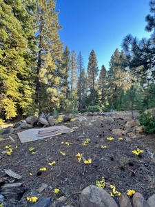 Homesite with Well & Septic For Sale in Modoc Co. - image 12