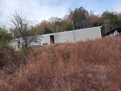 Handyman Special Auction in Greene County, Tennessee - image 1