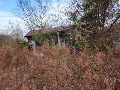 Handyman Special Auction in Greene County, Tennessee - image 2