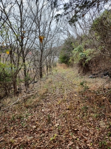 Handyman Special Auction in Greene County, Tennessee - image 28