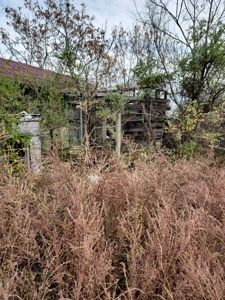 Handyman Special Auction in Greene County, Tennessee - image 19