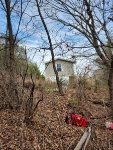 Handyman Special Auction in Greene County, Tennessee - image 26