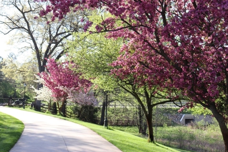 Country estate located on 67-acres with ponds and stream - image 17