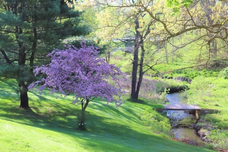 Country estate located on 67-acres with ponds and stream - image 7