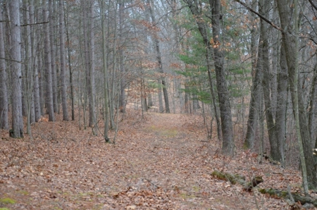 Country estate located on 67-acres with ponds and stream - image 46