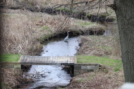 Country estate located on 67-acres with ponds and stream - image 24