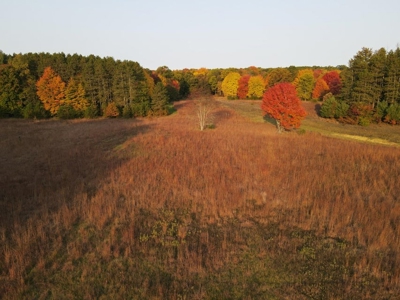 Country estate located on 67-acres with ponds and stream - image 47