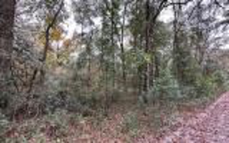 Recreational Lot - Live Oak Florida - Suwannee County Fl! - image 2