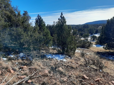Very Secluded - image 1