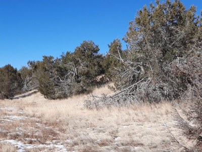 Very Secluded - image 7