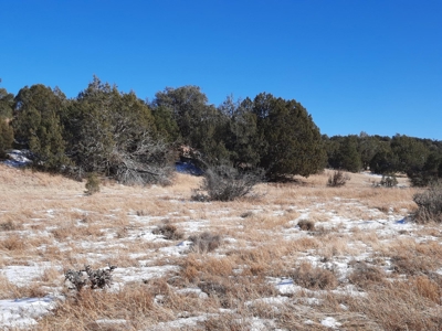 Very Secluded - image 9