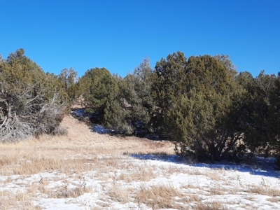Very Secluded - image 8