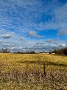 Development Land Equine Property in City Limits of Eolia MO - image 8