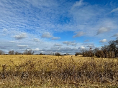 Development Land Equine Property in City Limits of Eolia MO - image 7