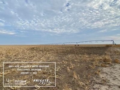 Texas County, Oklahoma ~ 480 Acre Farm  ~ Private Auction - image 6