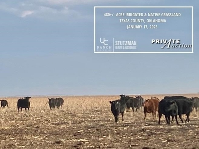 Texas County, Oklahoma ~ 480 Acre Farm  ~ Private Auction - image 5
