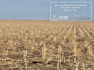 Texas County, Oklahoma ~ 480 Acre Farm  ~ Private Auction - image 4