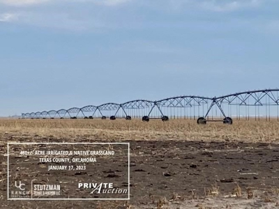 Texas County, Oklahoma ~ 480 Acre Farm  ~ Private Auction - image 3