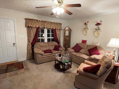 Home for Sale Near the Town of Floyd VA - image 15
